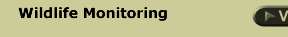 Wildlife Monitoring